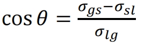 Formula 6