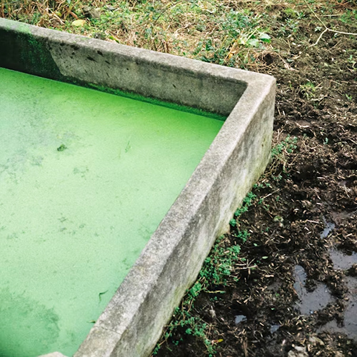 Treated Water and Lamella Water Treatment